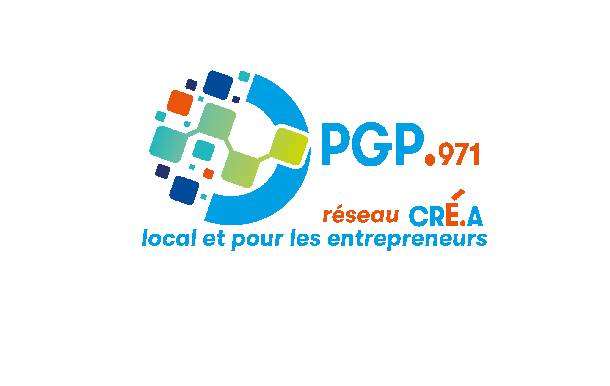 Logo PGP.971
